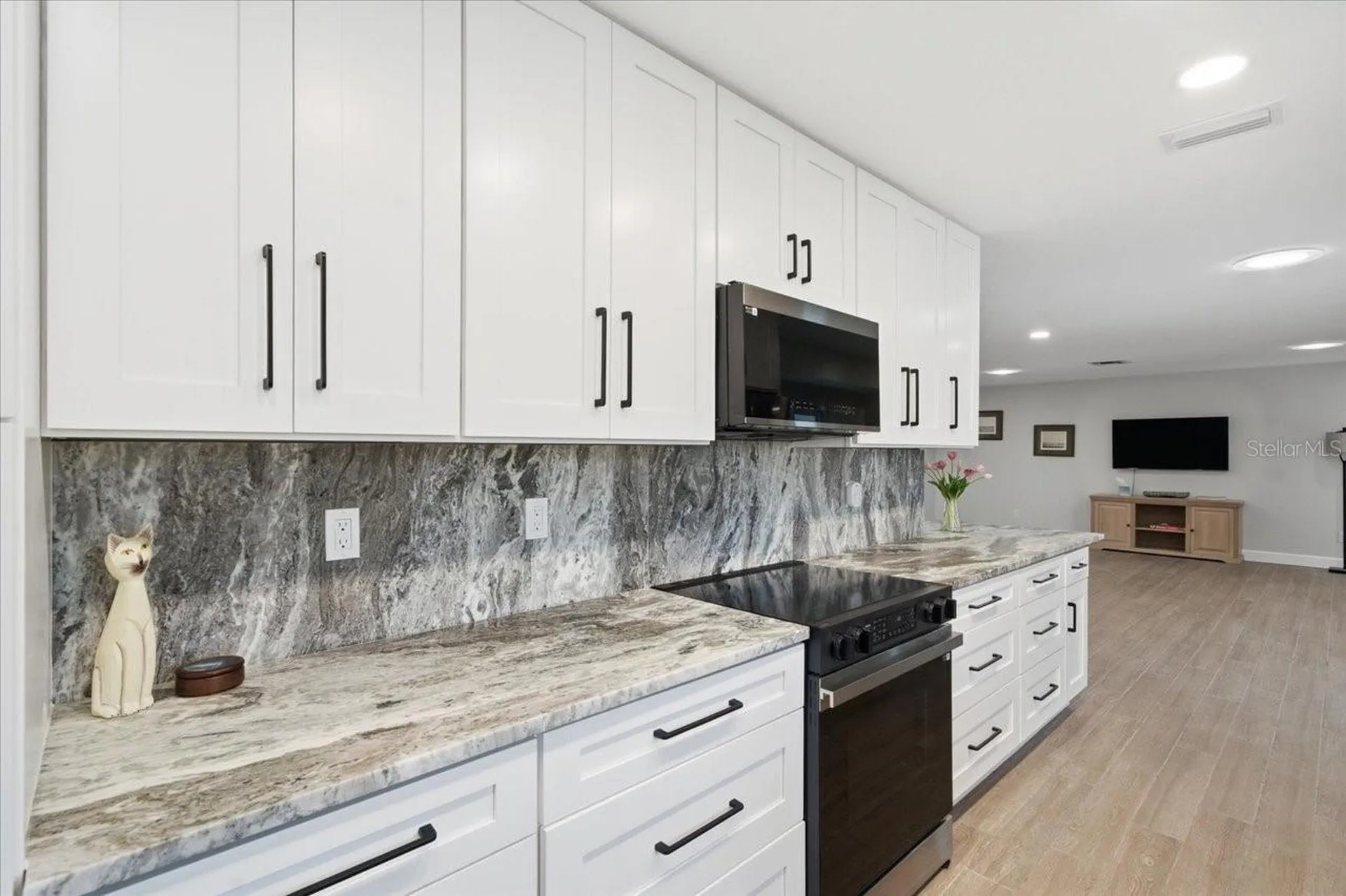 12212 Snead Place Tampa FL 33624