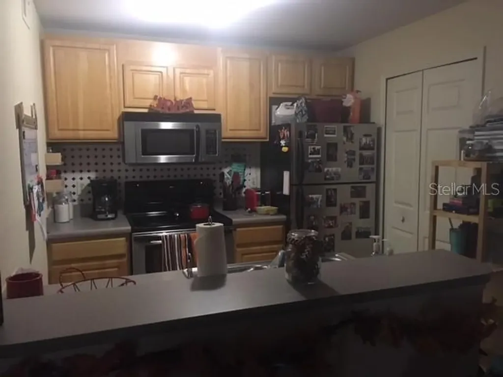 8939 Latrec Avenue Orlando FL 32819