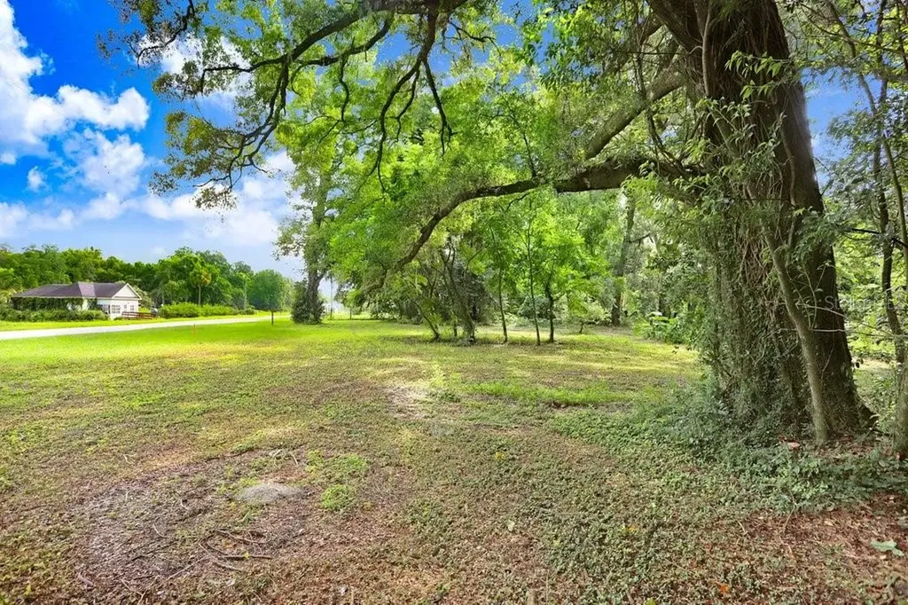 37352 ½ Trilby Road Dade City FL 33523