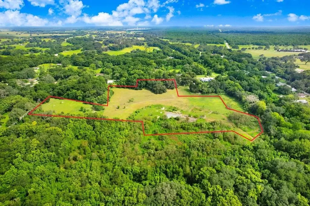37352 ½ Trilby Road Dade City FL 33523