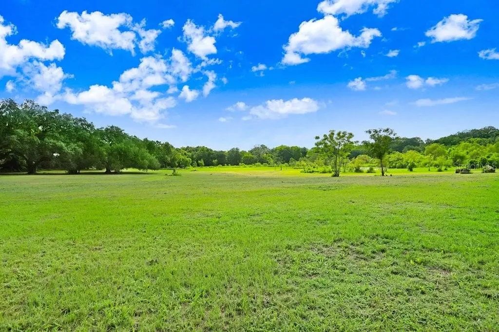 37352 ½ Trilby Road Dade City FL 33523