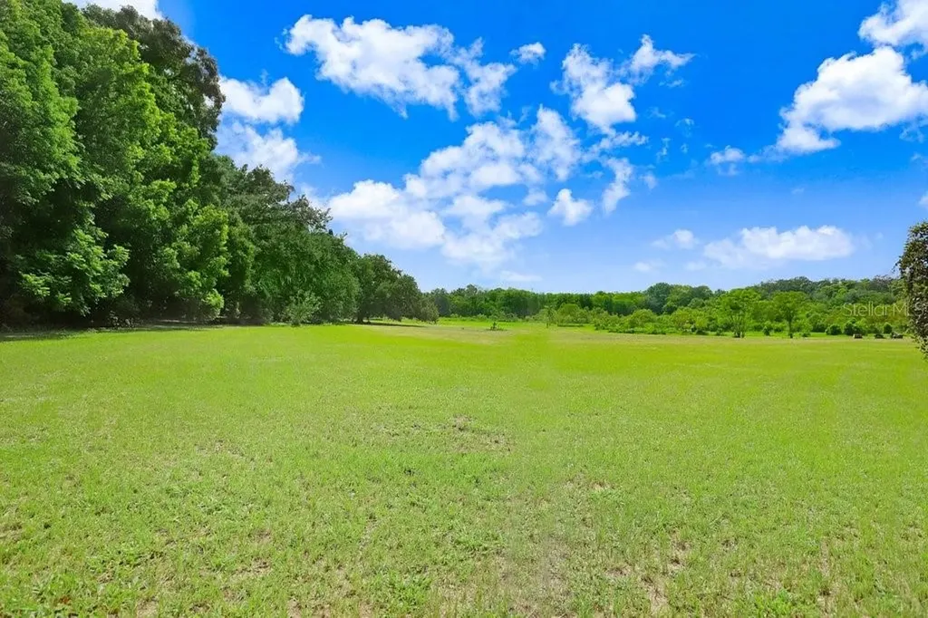 37352 ½ Trilby Road Dade City FL 33523