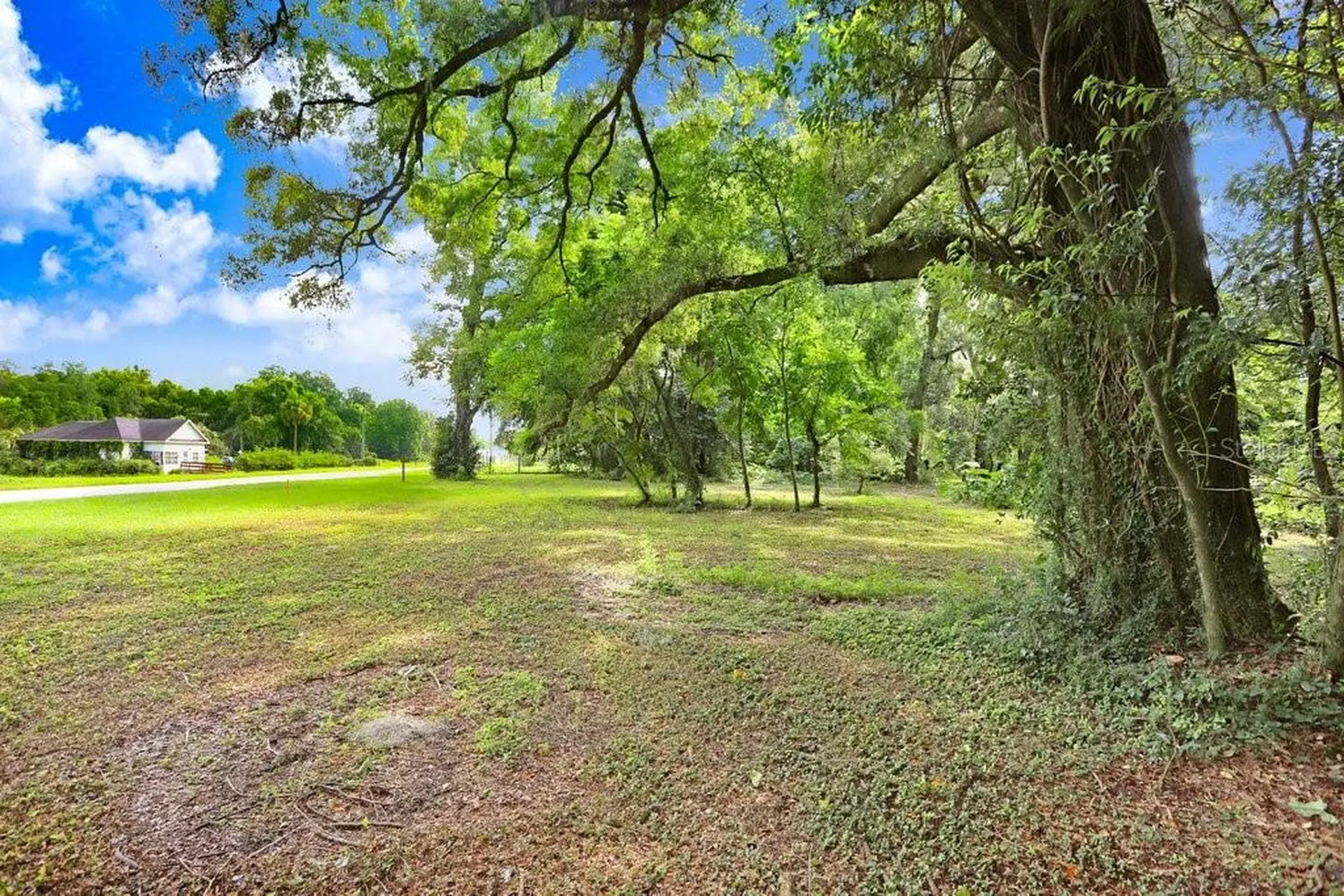 37352 ½ Trilby Road Dade City FL 33523
