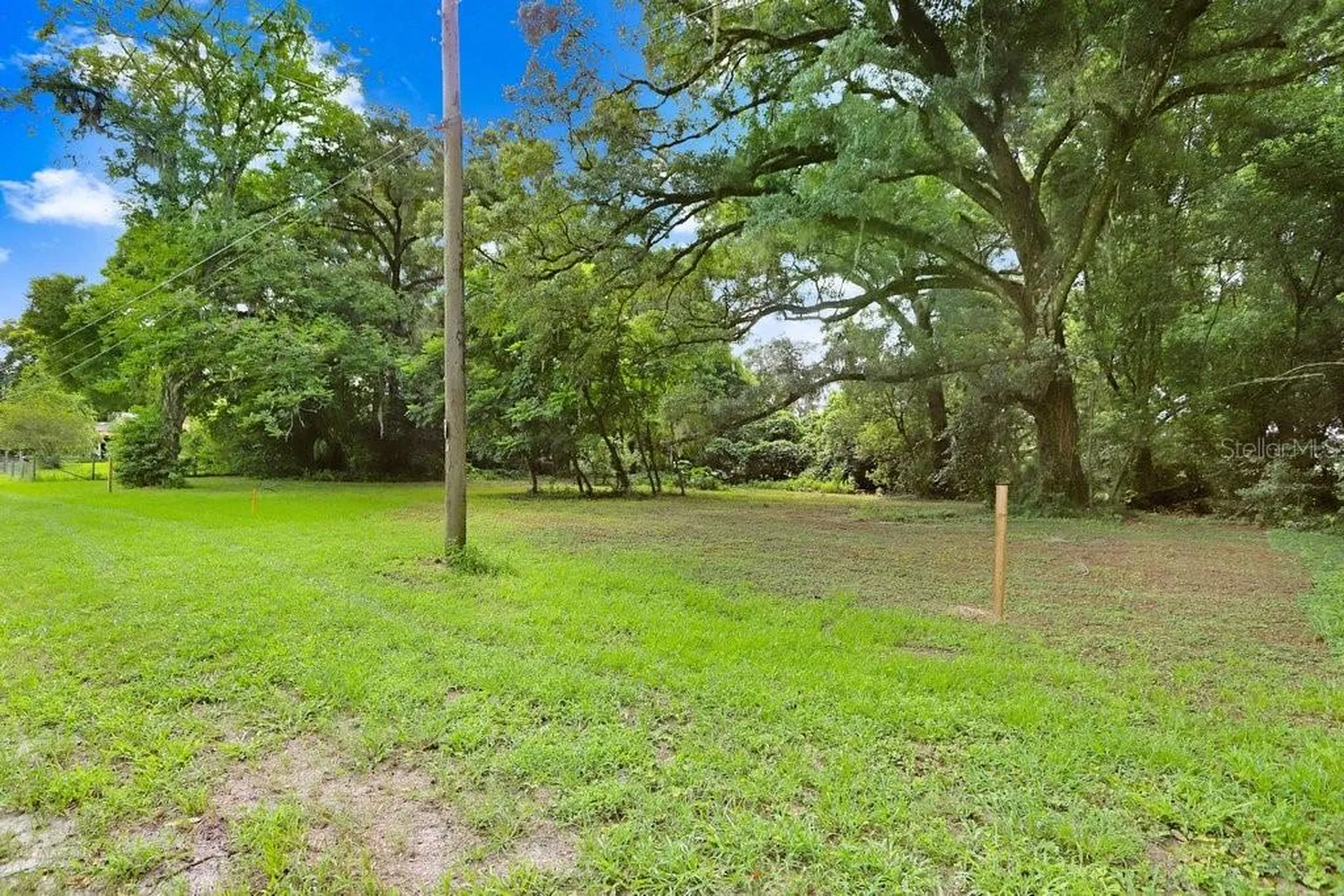 37352 ½ Trilby Road Dade City FL 33523