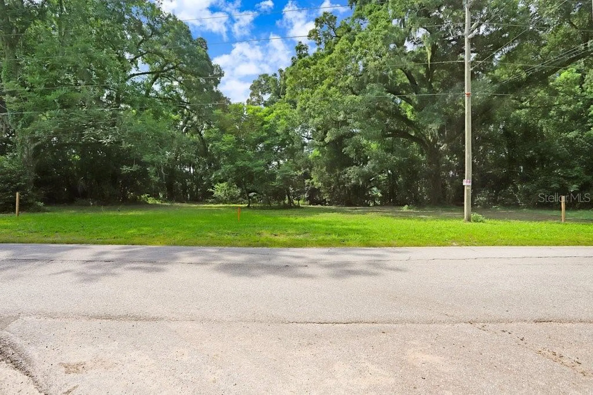 37352 ½ Trilby Road Dade City FL 33523