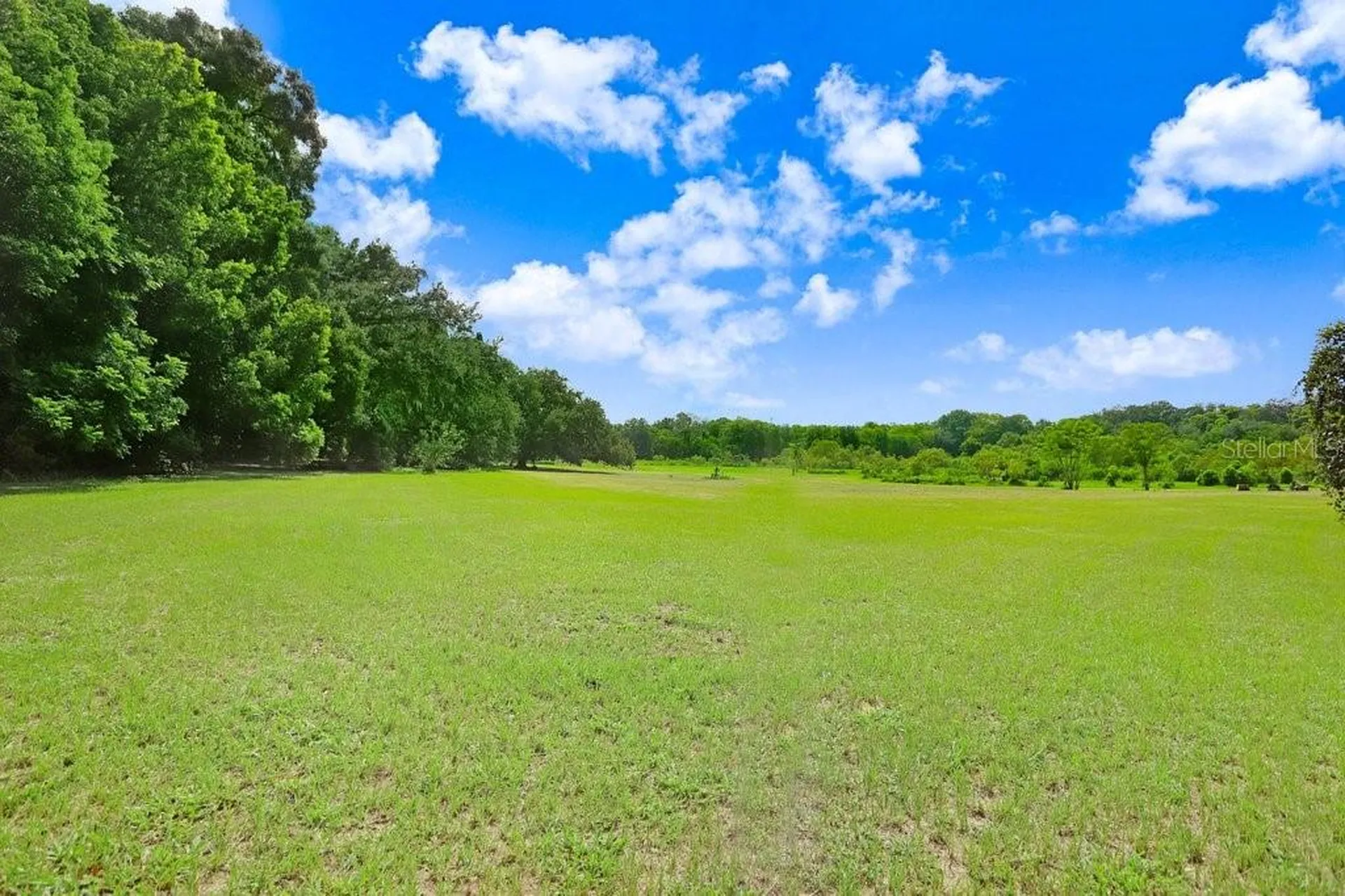 37352 ½ Trilby Road Dade City FL 33523