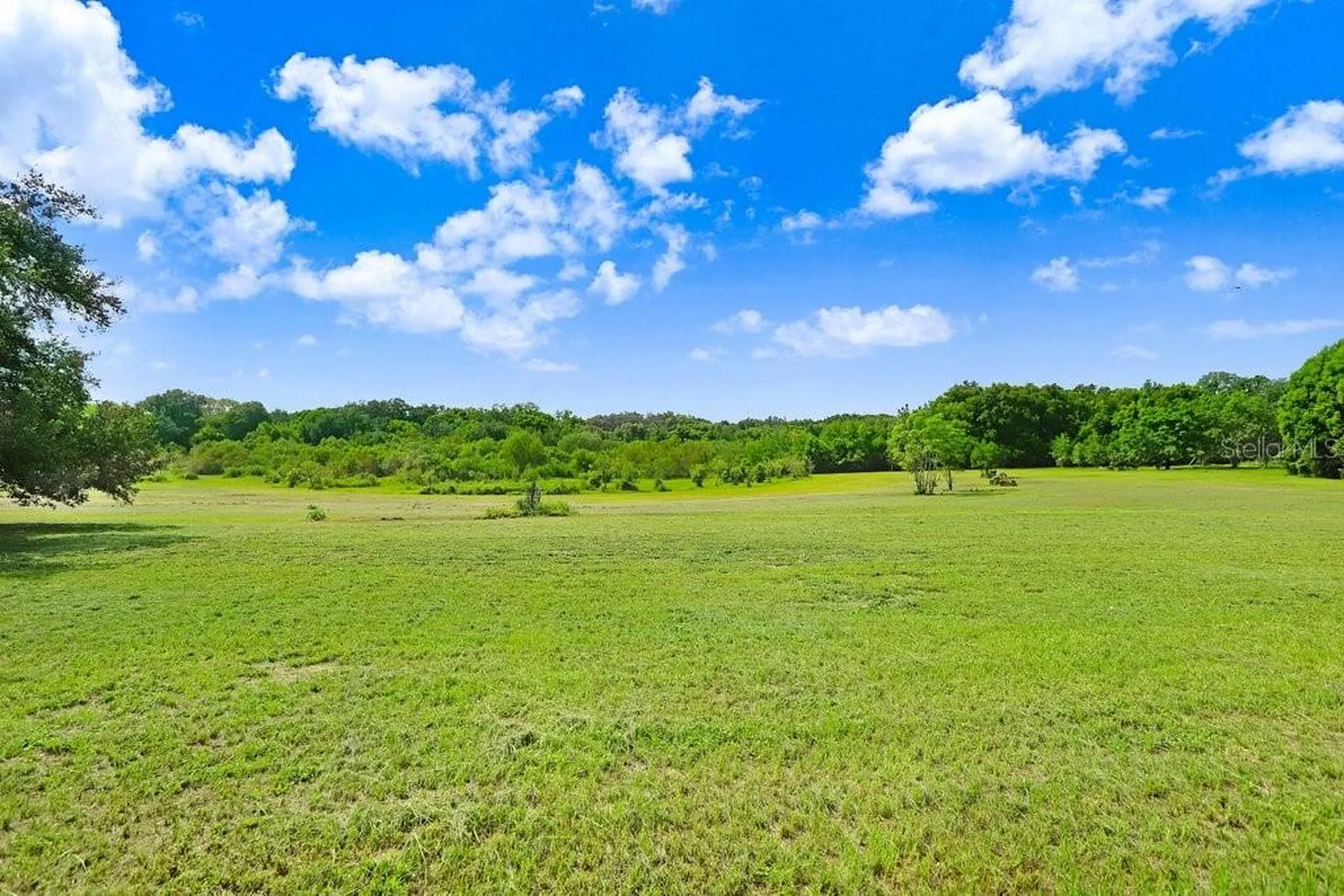 37352 ½ Trilby Road Dade City FL 33523