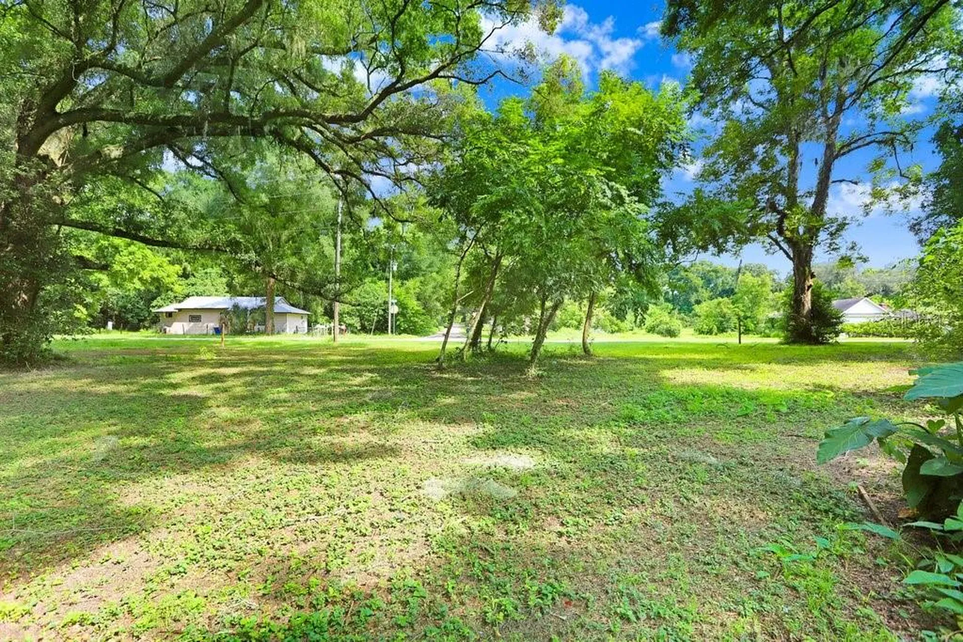 37352 ½ Trilby Road Dade City FL 33523