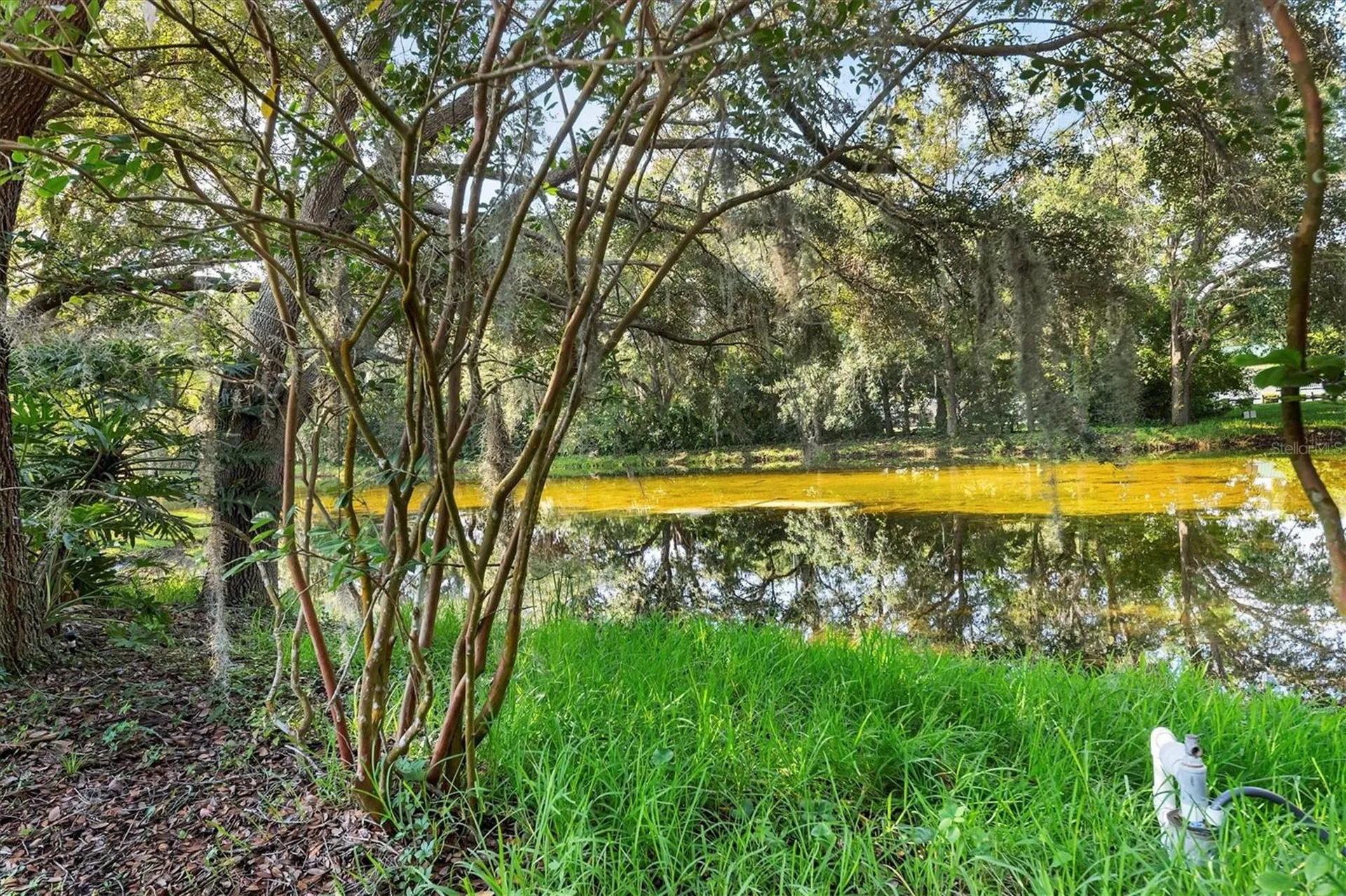 4920 Old Oakleaf Drive Sarasota FL 34233