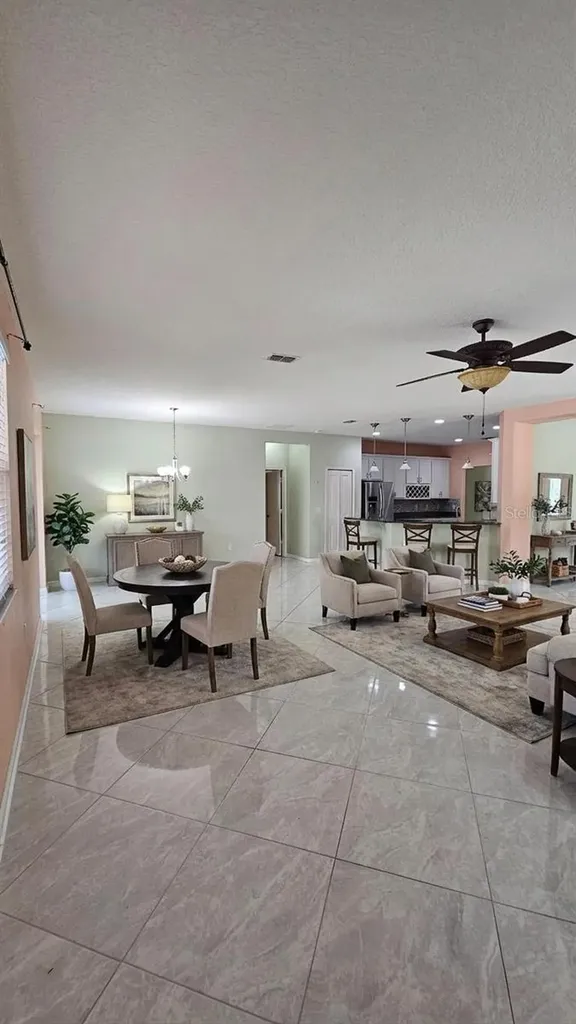 11114 Hartford Fern Drive Riverview FL 33569