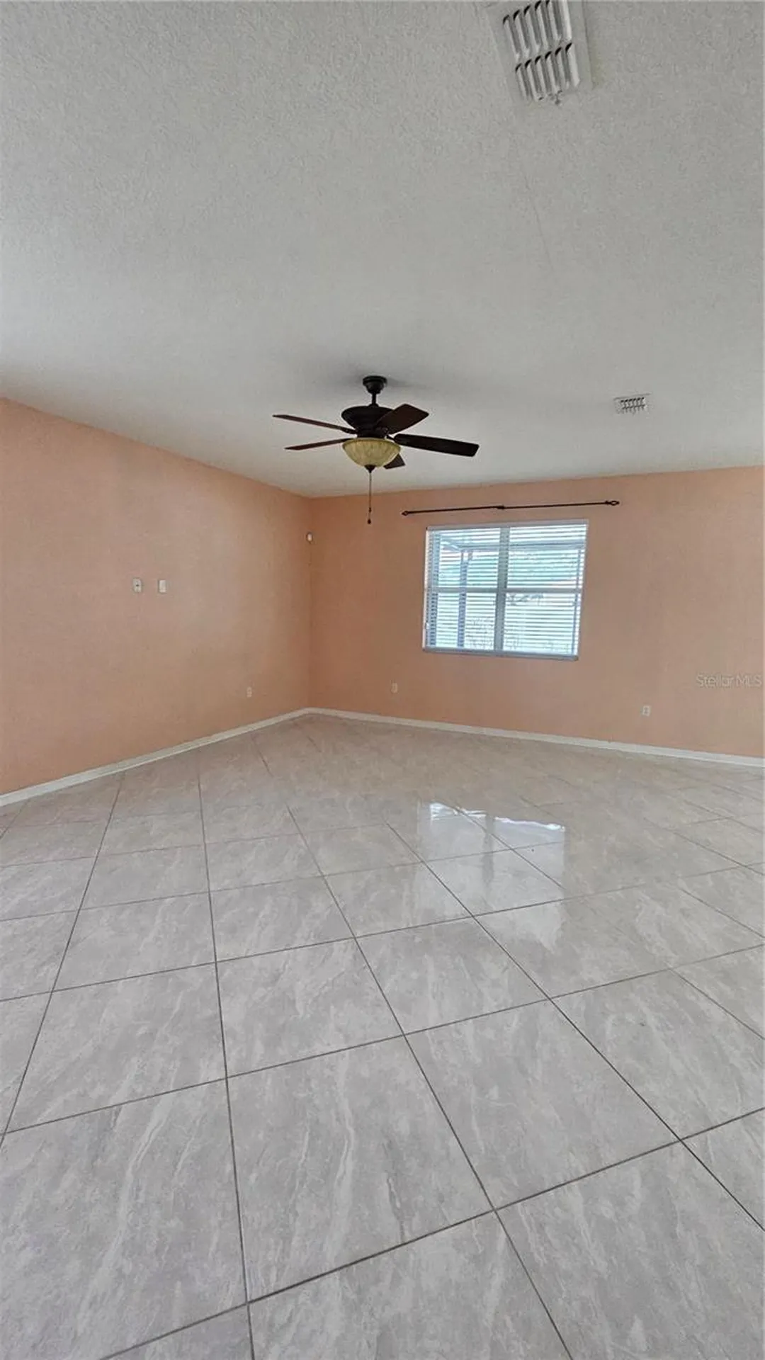 11114 Hartford Fern Drive Riverview FL 33569