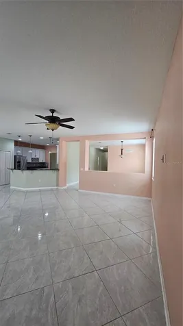 11114 Hartford Fern Drive Riverview FL 33569