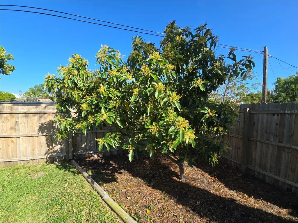 1411 29th Street W Bradenton FL 34205