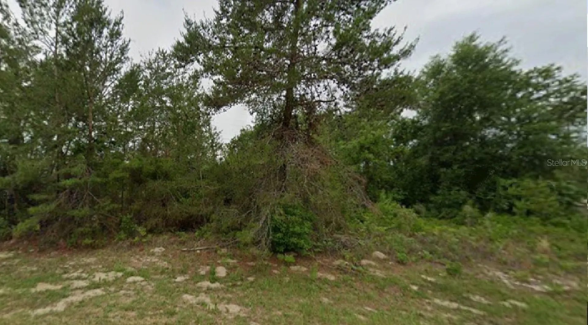 SW 54th Court Road Ocala FL 34473
