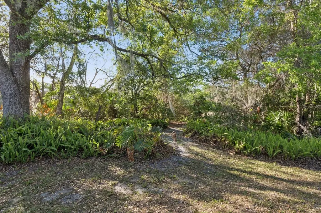 502 Club Drive Winter Springs FL 32708