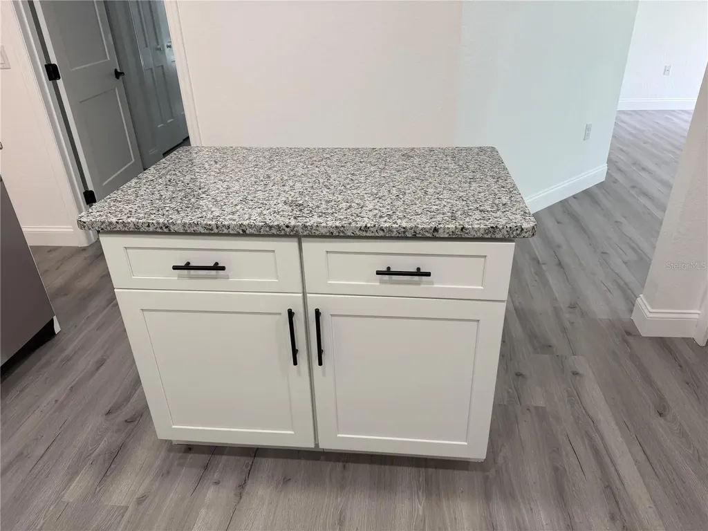 1119 Willow Avenue Sanford FL 32771