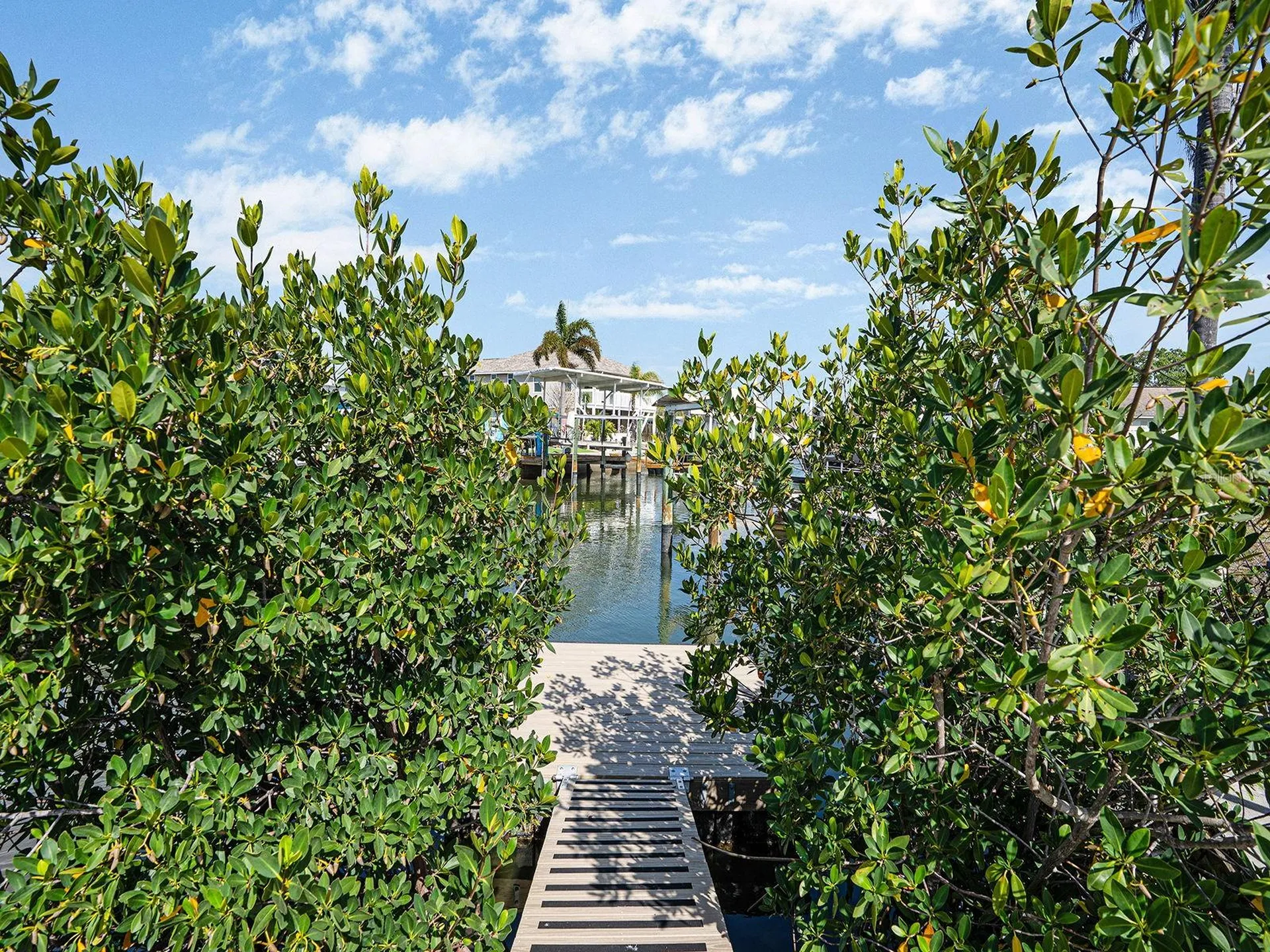 13727 Coco Hudson FL 34667