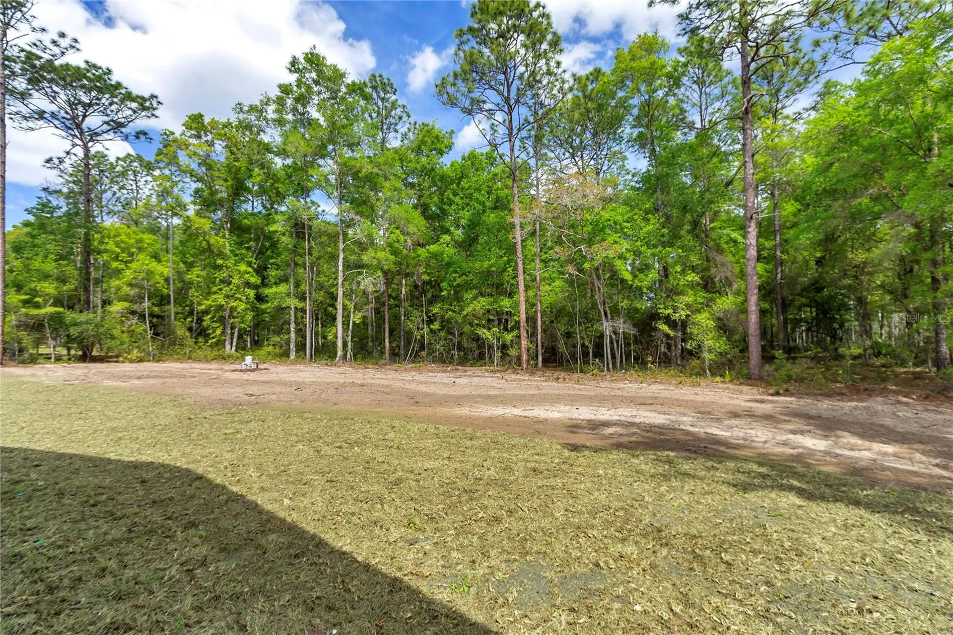 12423 SW 45 Street Ocala FL 34481