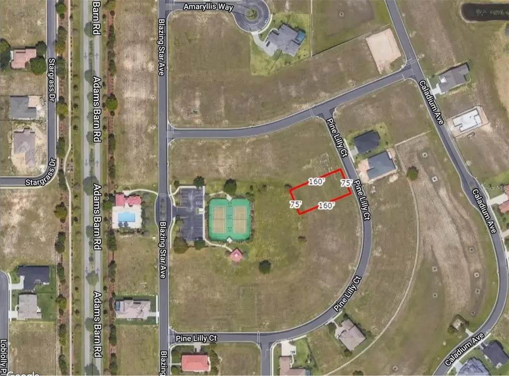 253 Pine Lilly Court Lake Alfred FL 33850