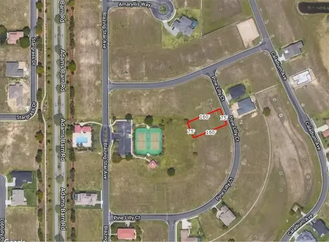 253 Pine Lilly Court Lake Alfred FL 33850