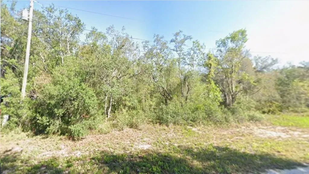 2180 W Bonita Road Avon Park FL 33825