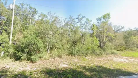 2180 W Bonita Road Avon Park FL 33825