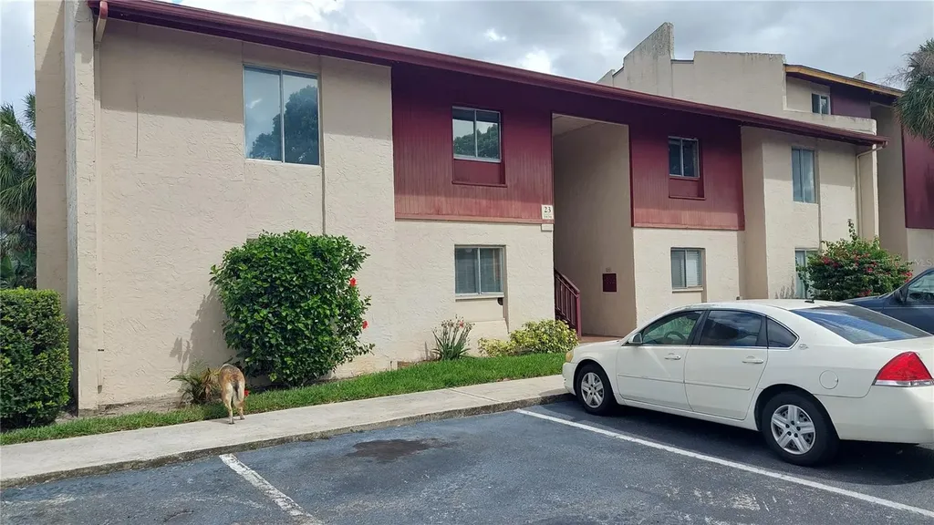 3836 N Lake Drive Tampa FL 33614