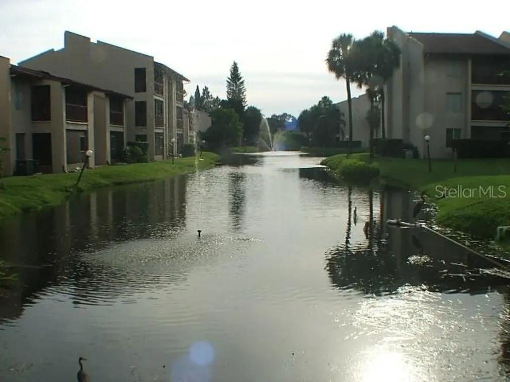 3836 N Lake Drive Tampa FL 33614