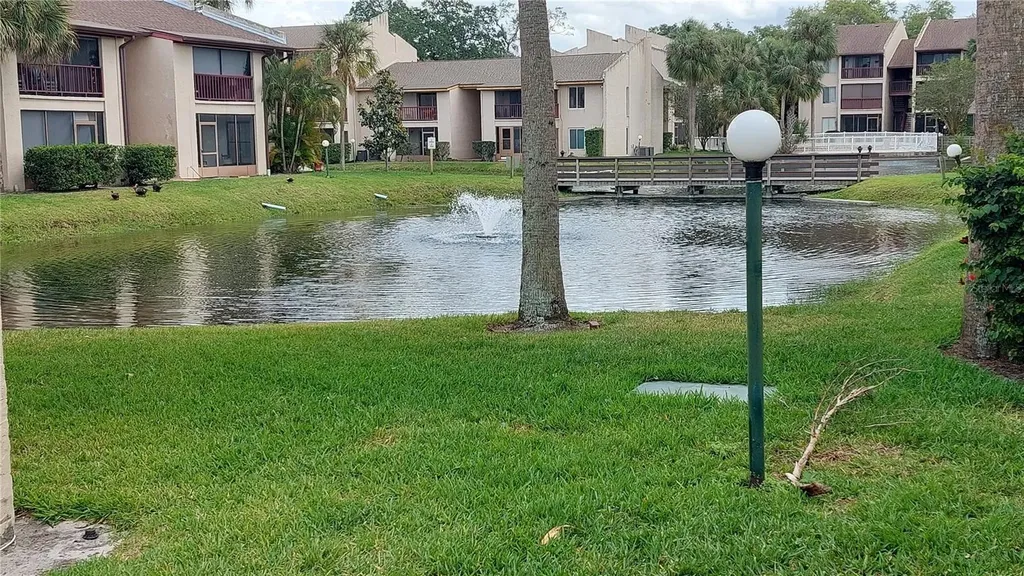 3836 N Lake Drive Tampa FL 33614