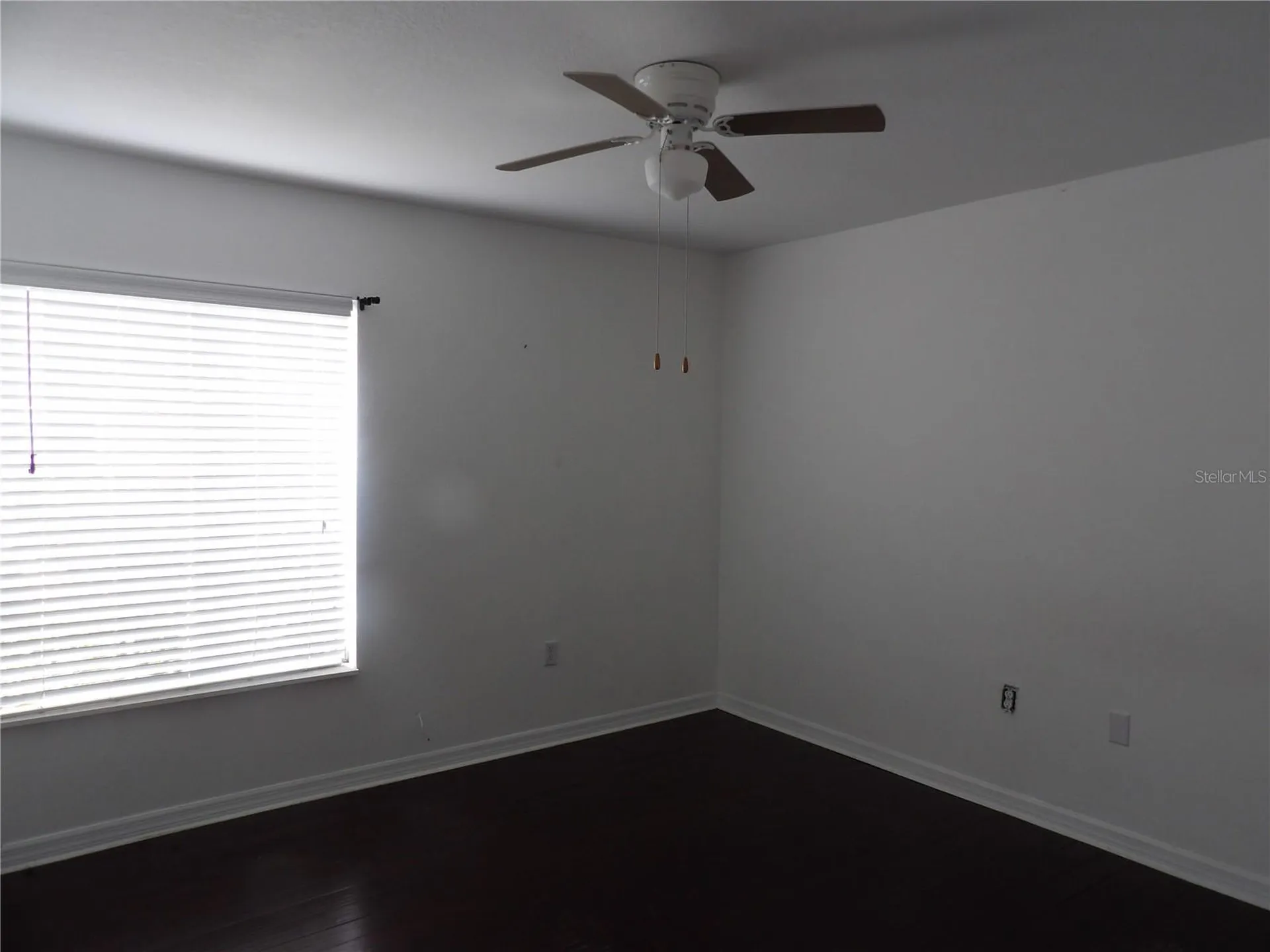 3836 N Lake Drive Tampa FL 33614