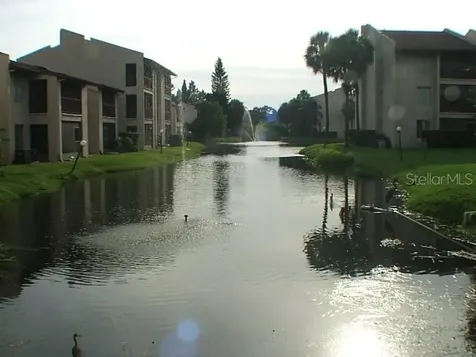3836 N Lake Drive Tampa FL 33614