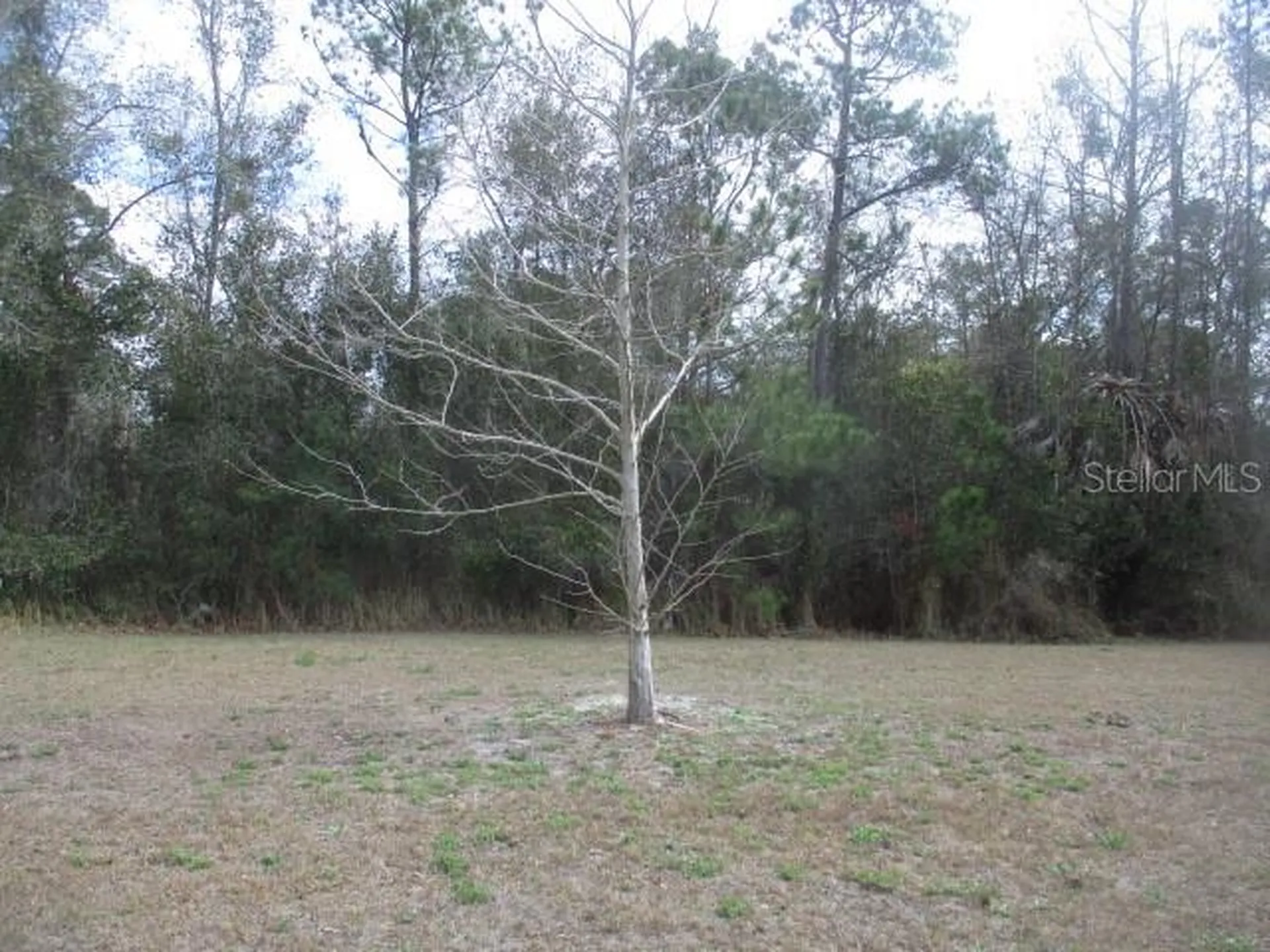 5150 Diantha Way Brooksville FL 34604