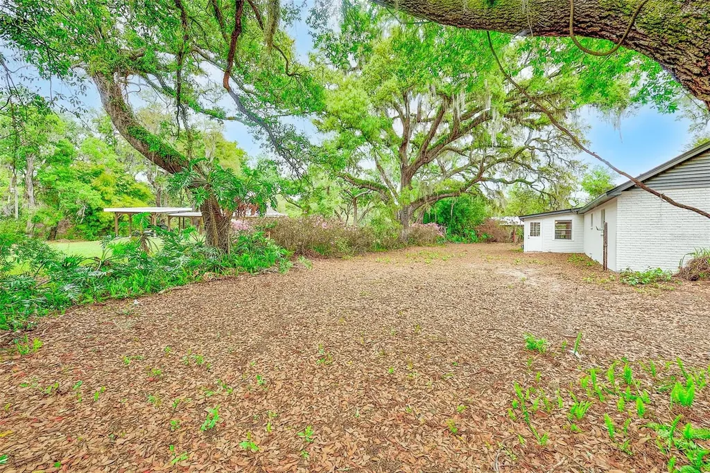 1220 Vinewood Drive Seffner FL 33584