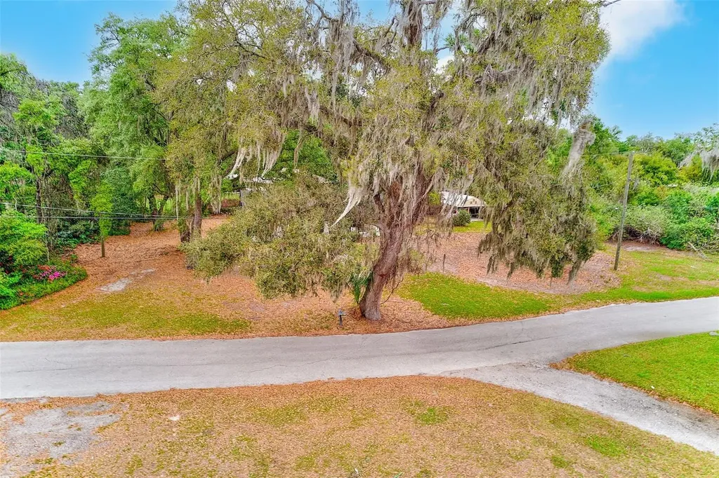 1220 Vinewood Drive Seffner FL 33584