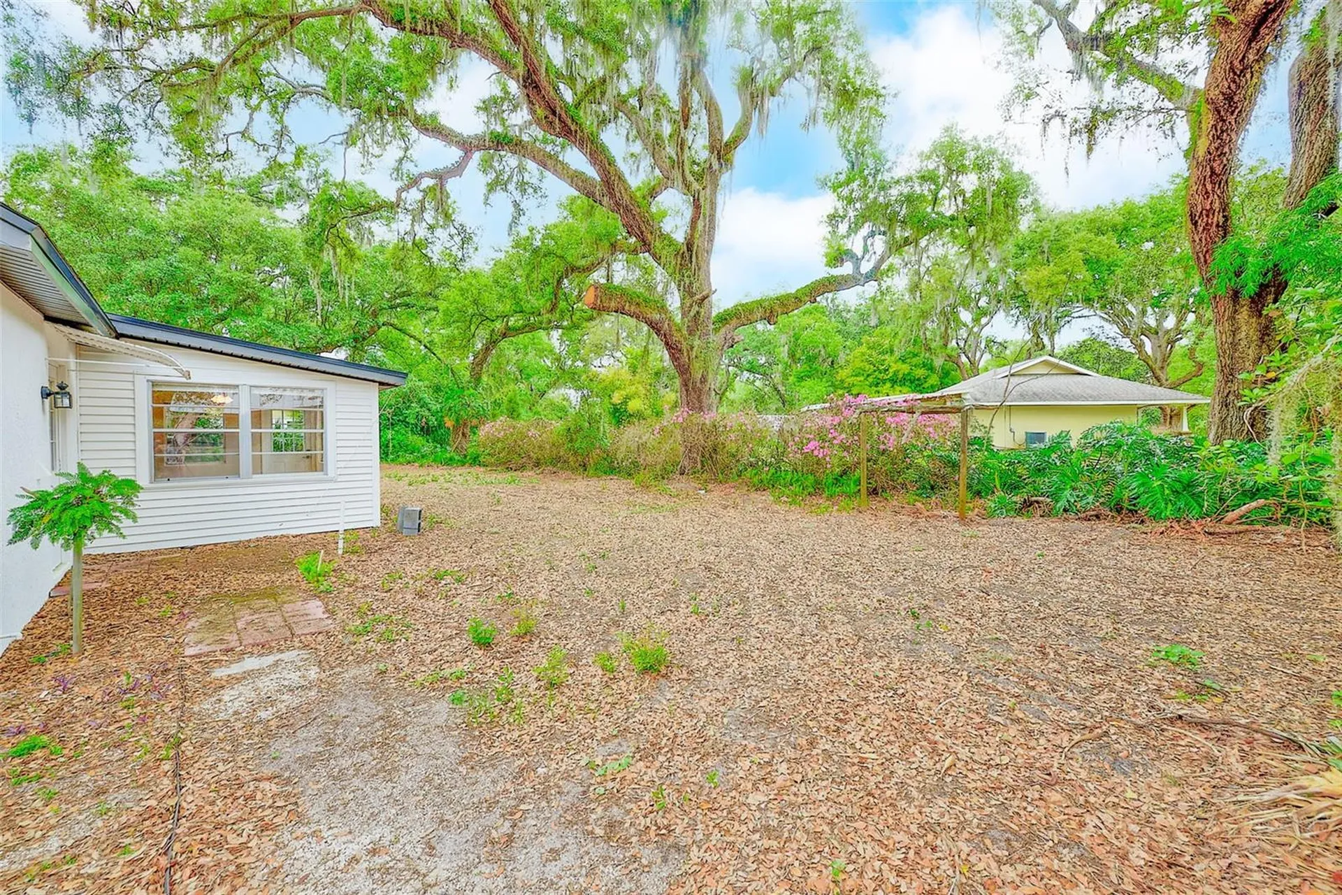 1220 Vinewood Drive Seffner FL 33584