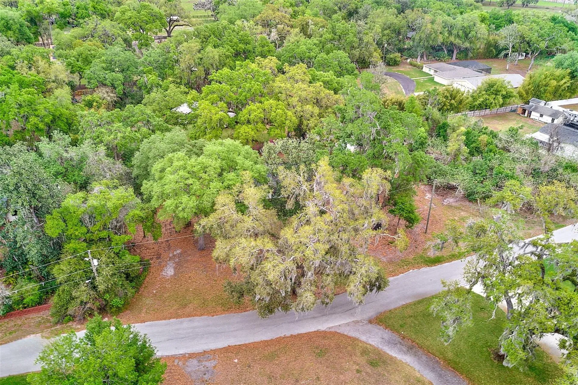 1220 Vinewood Drive Seffner FL 33584