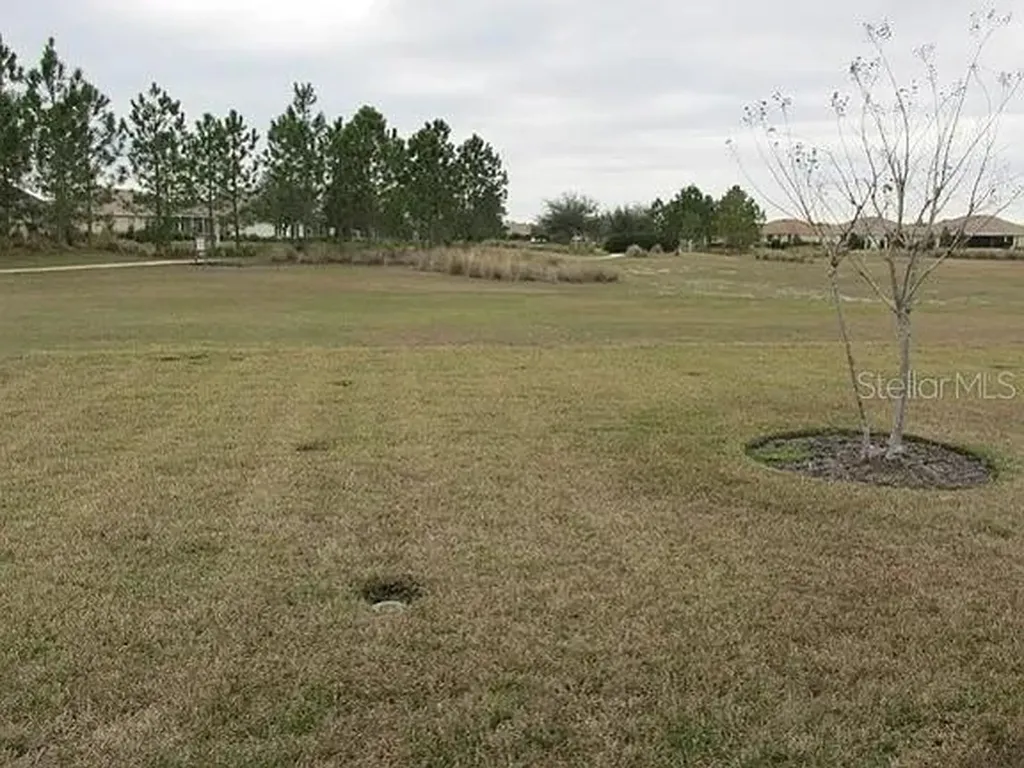 8701 SW 83rd Circle Ocala FL 34481