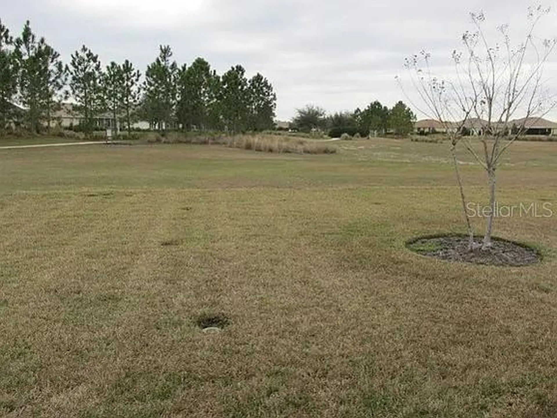 8701 SW 83rd Circle Ocala FL 34481