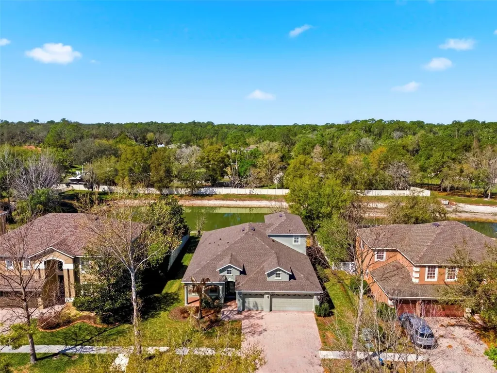 6823 Green Heron Drive Wesley Chapel FL 33545