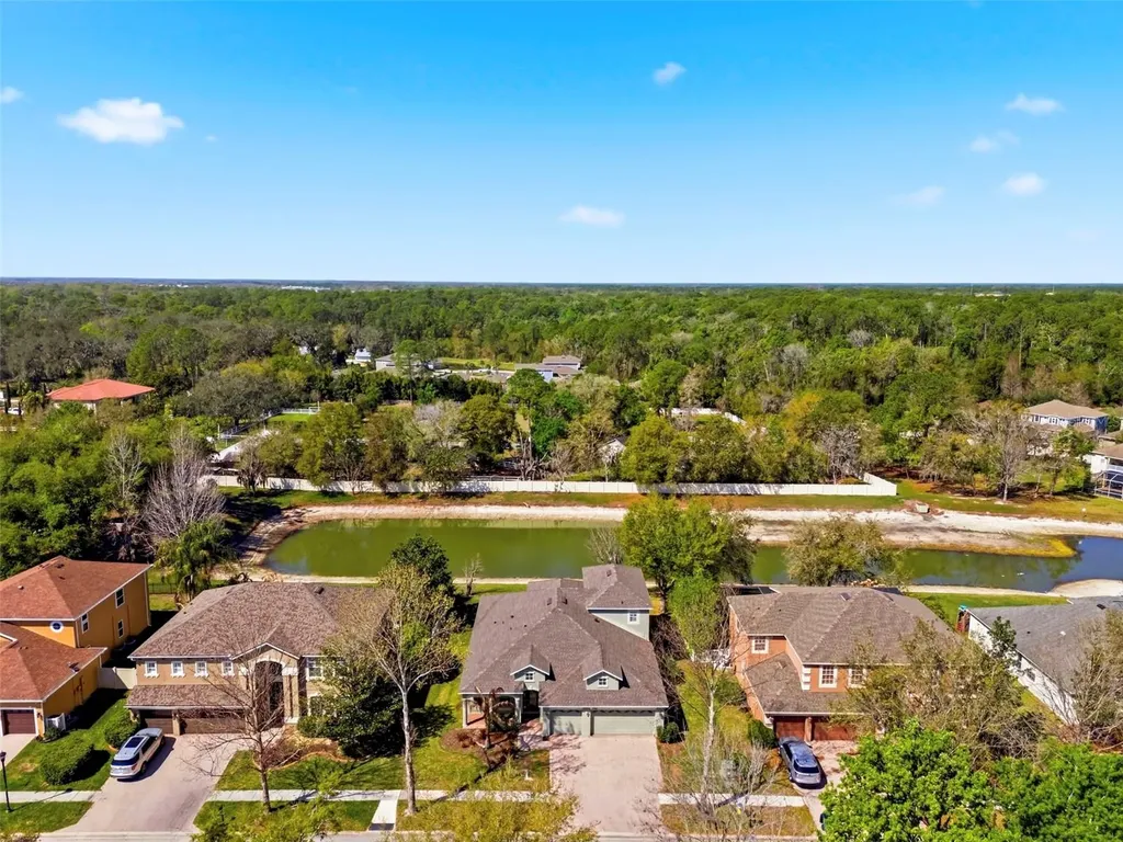6823 Green Heron Drive Wesley Chapel FL 33545