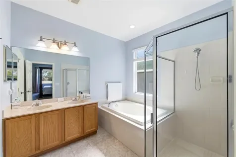 6823 Green Heron Drive Wesley Chapel FL 33545