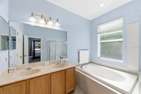 6823 Green Heron Drive Wesley Chapel FL 33545