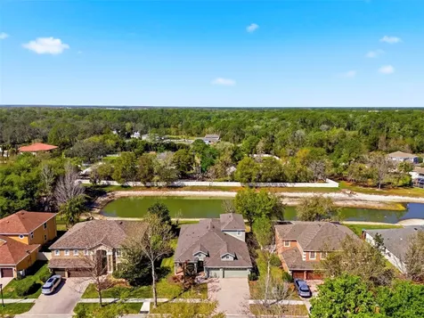 6823 Green Heron Drive Wesley Chapel FL 33545