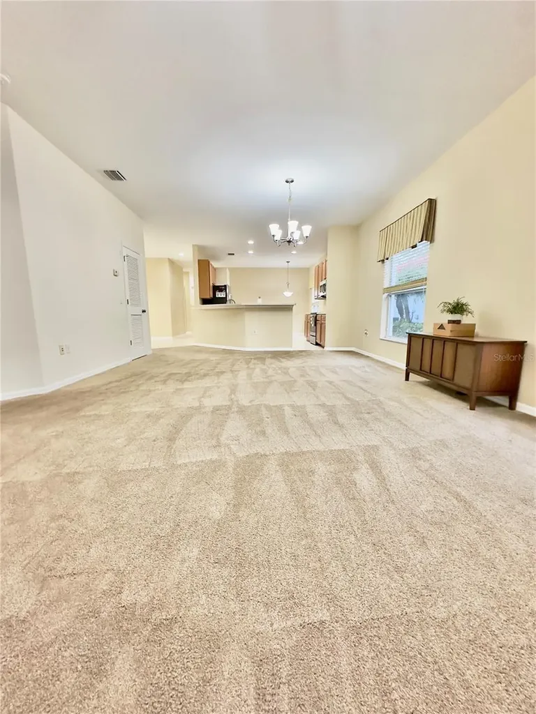 10222 Devonshire Lake Drive Tampa FL 33647