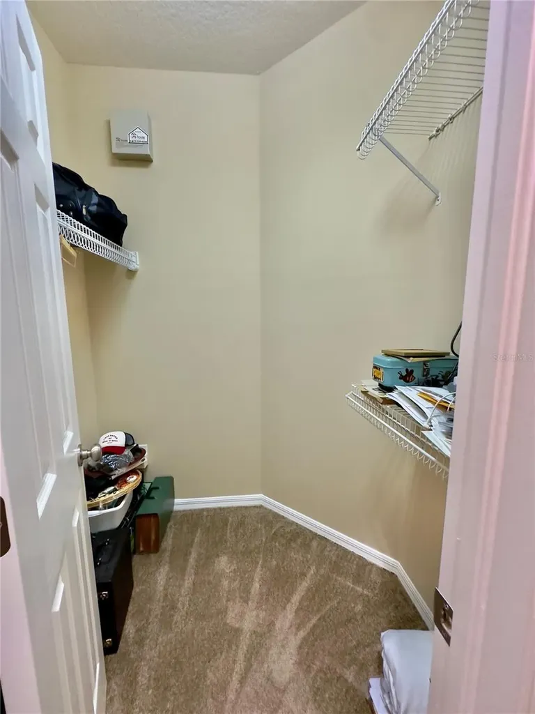 10222 Devonshire Lake Drive Tampa FL 33647