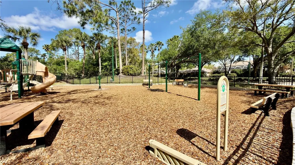 10222 Devonshire Lake Drive Tampa FL 33647