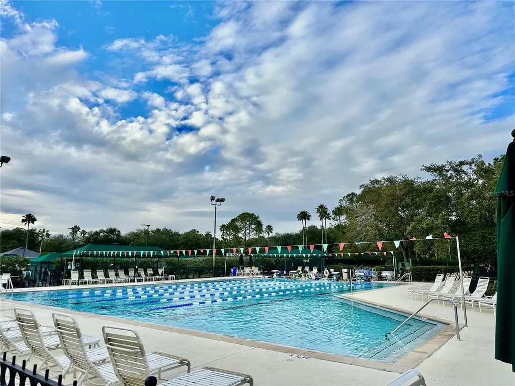 10222 Devonshire Lake Drive Tampa FL 33647