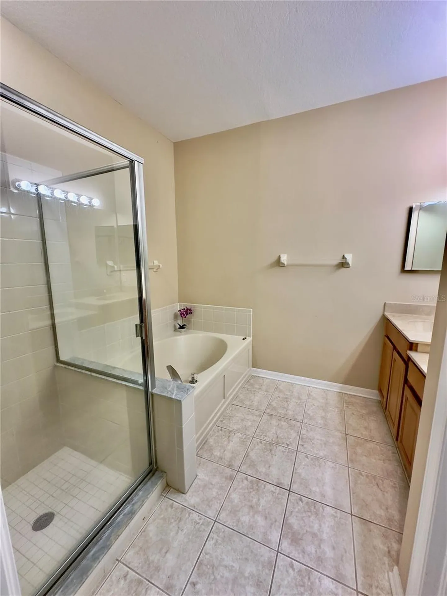 10222 Devonshire Lake Drive Tampa FL 33647