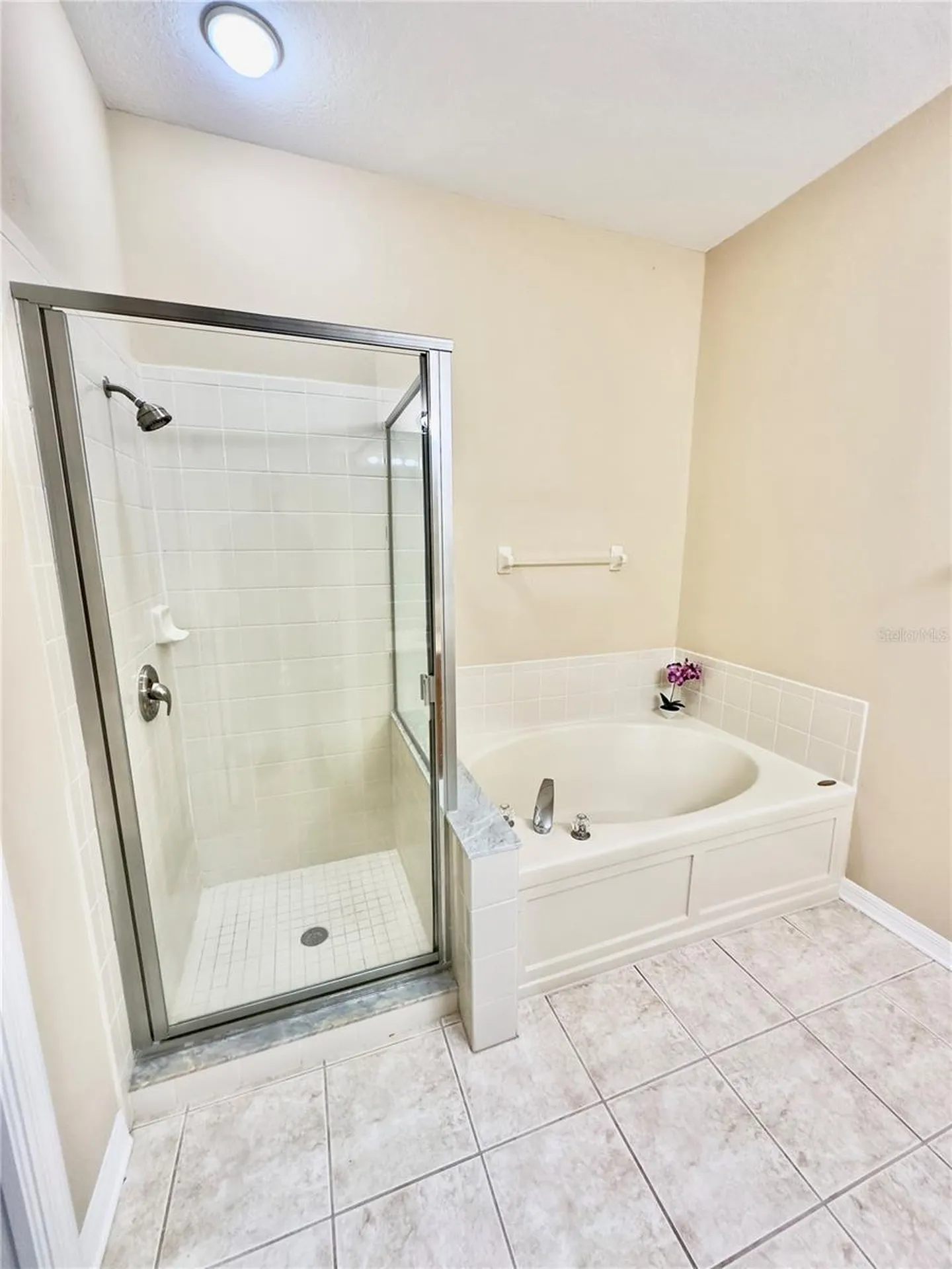10222 Devonshire Lake Drive Tampa FL 33647