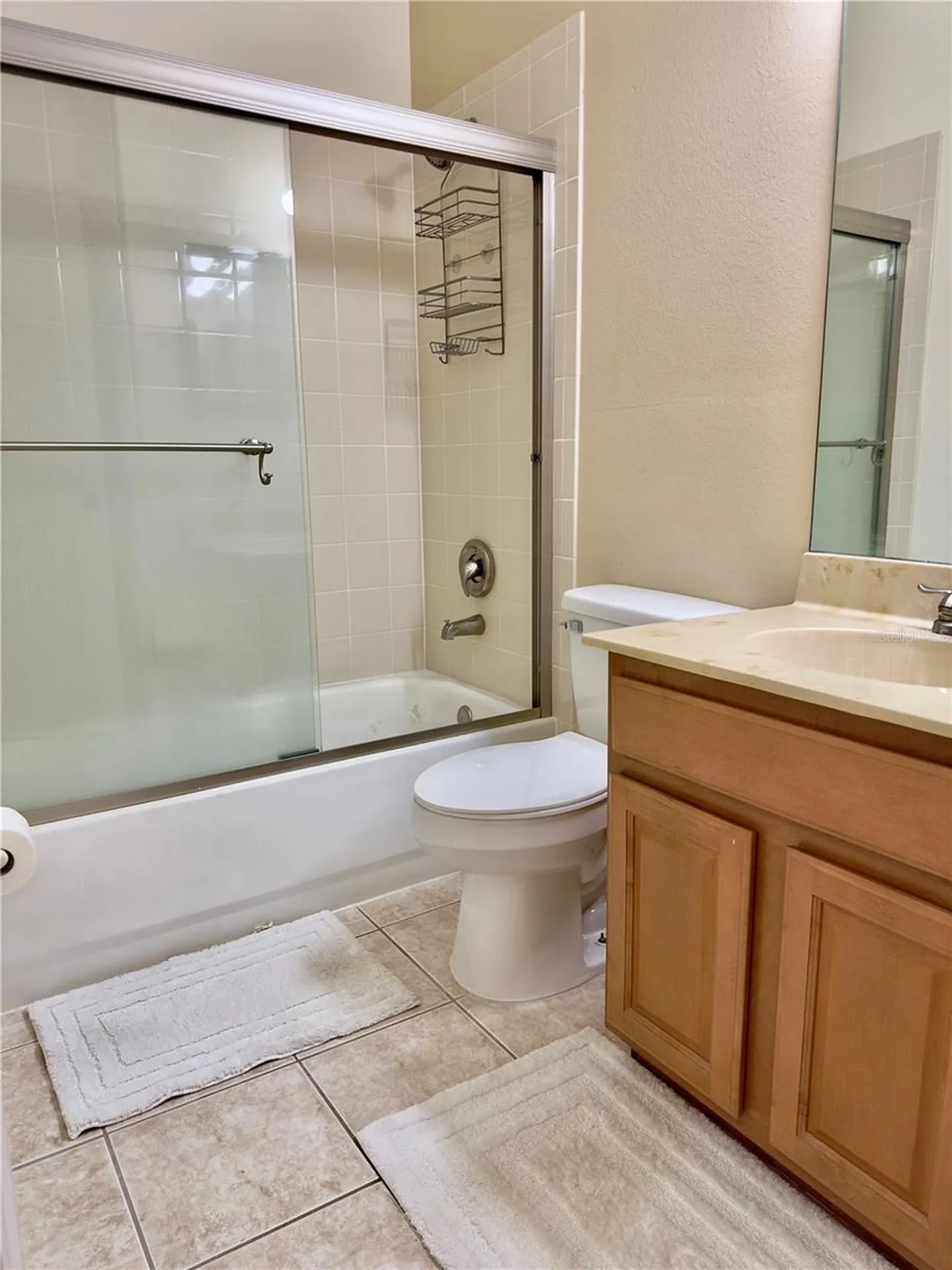 10222 Devonshire Lake Drive Tampa FL 33647